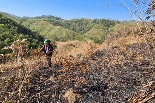 Tạm giữ 2 đối tượng đánh nhân viên bảo vệ rừng