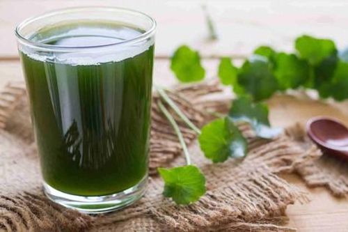 Món ăn bài thuốc hỗ trợ trị rối loạn tiêu hóa mùa hè