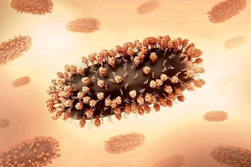 Virus RSV lây lan như thế nào?