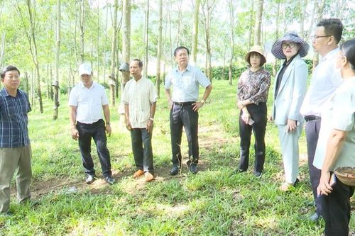 Huyện Đăk Tô lồng ghép hiệu quả nguồn lực, thúc đẩy giảm nghèo bền vững