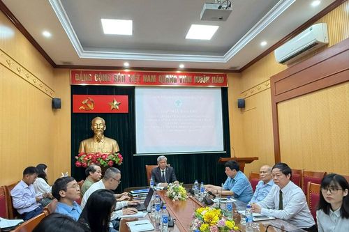 Sắp khởi động chương trình nhân đạo 'Mắt sáng cho người cao tuổi'