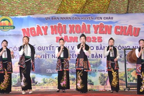 Nhiềm trải nghiệm thú vị tại Ngày hội xoài Yên Châu 2025