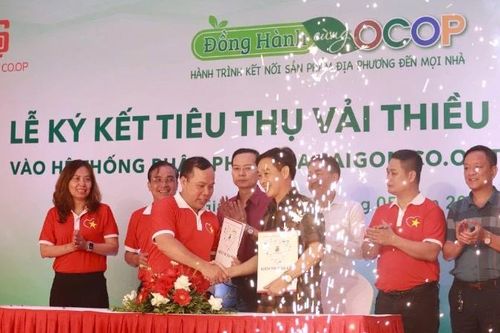 Thành phố Hồ Chí Minh hợp tác tiêu thụ vải thiều Bắc Giang