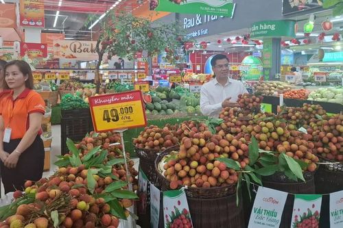 Saigon Co.op ký kết tiêu thụ vải thiều Bắc Giang vụ mùa 2025