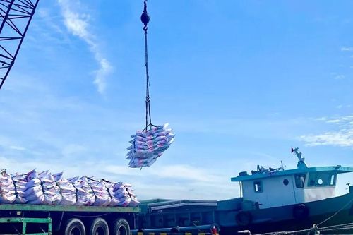 Khánh thành tuyến vận tải cảng Cần Thơ - cảng Cái Mép
