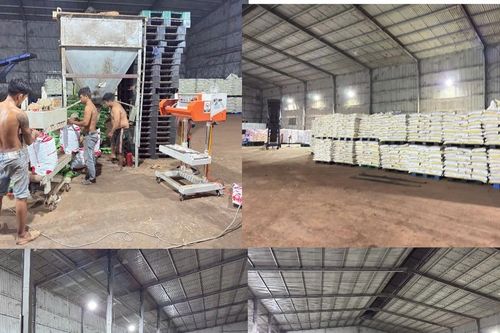 Sự thật sau những bao phân nhập khẩu từ Bỉ
