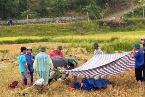 Người đàn ông bị sét đánh tử vong khi đang gặt lúa