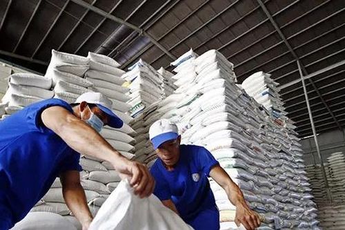 Đề xuất quy định kinh doanh xuất khẩu gạo như 'đánh đố'