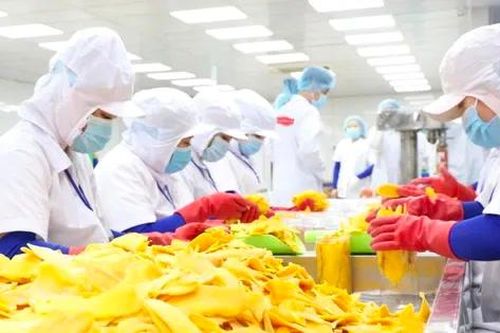 Vật vã trong 'nắng hạn' lâu năm, doanh nghiệp Việt vừa gặp được 'mưa rào'