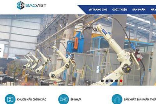 Công ty CP Group Bắc Việt bị xử phạt 365 triệu đồng