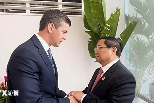 Không ngừng thúc đẩy quan hệ hợp tác giữa Việt Nam và Paraguay