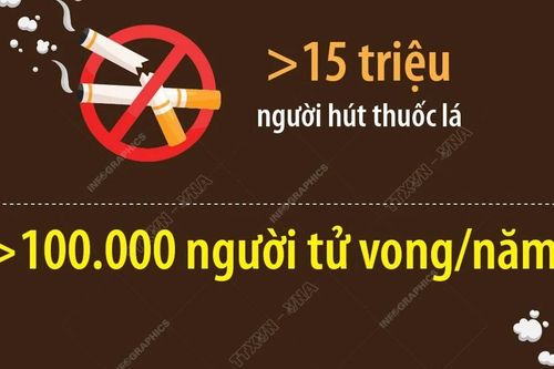 Việt Nam có hơn 100.000 người tử vong mỗi năm liên quan đến hút thuốc lá