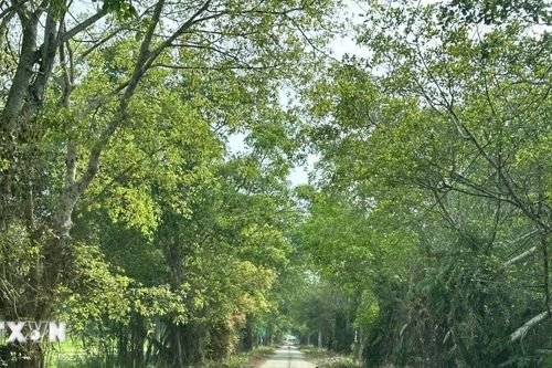 Vườn quốc gia U Minh Thượng mở cửa đón khách tham quan trở lại