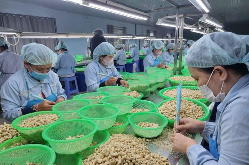 Hiện thực hóa Nghị quyết 68 cần sự đồng hành giữa Nhà nước và doanh nghiệp