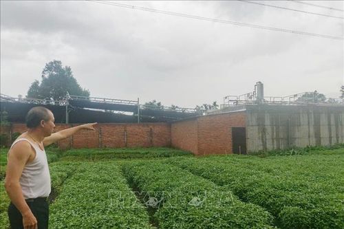Người dân bức xúc khi 'hít thở' trong môi trường ô nhiễm