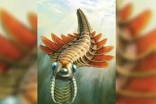Phát hiện sinh vật biển cổ đại 3 mắt kỳ lạ: 'Thở bằng… mông'
