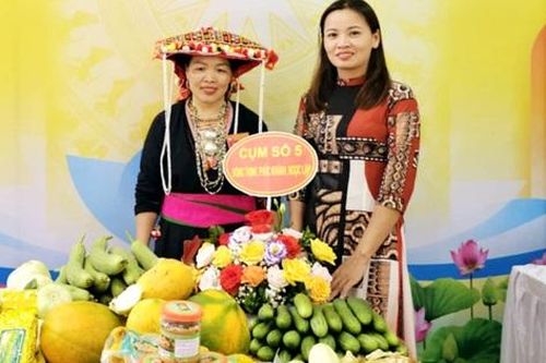 Đoan Hùng: Duy trì hiệu quả 22 nhóm phụ nữ liên kết phát triển kinh tế tại 14 xã