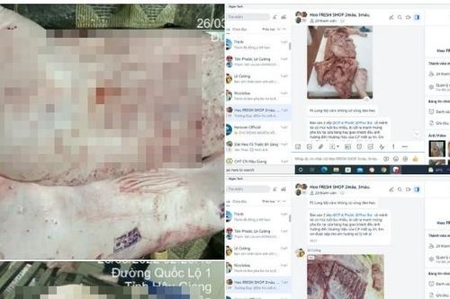 Công ty C.P. Việt Nam phản hồi gì sau khi bị 'tố' trà trộn heo bệnh, gà bệnh vào sản xuất