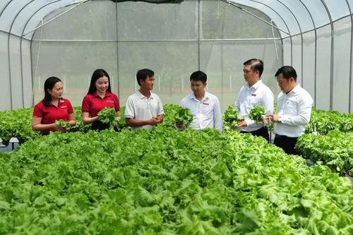 Agribank tăng quy mô và mở rộng cho vay ưu đãi lĩnh vực nông, lâm, thủy sản