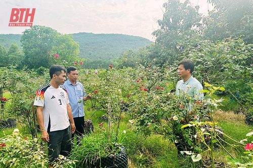 Nông dân Hà Trung giúp nhau phát triển kinh tế