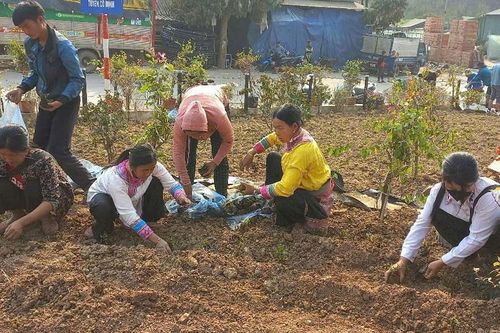 Hướng về đại hội bằng những việc làm thiết thực