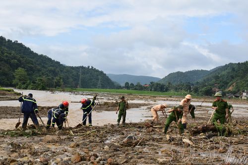Hành động sớm, chủ động trước