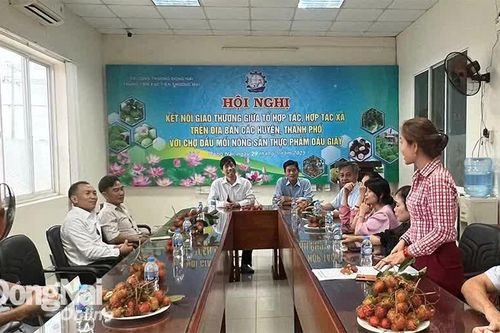 Các hợp tác xã, tổ hợp tác tại huyện Xuân Lộc kết nối giao thương với chợ đầu mối Dầu Giây