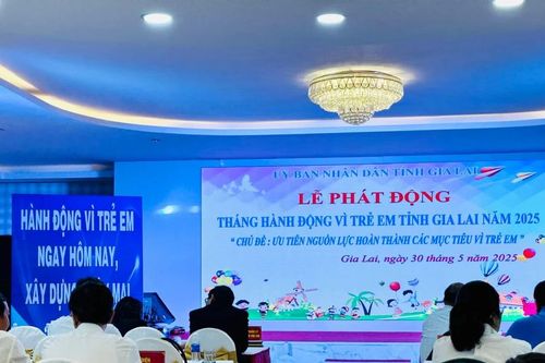 Gia Lai phát động Tháng hành động vì trẻ em