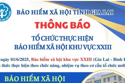 Bảo hiểm xã hội khu vực XXIII Gia Lai-Bình Định thực hiện chức năng, nhiệm vụ theo cơ cấu tổ chức mới từ ngày 1-6-2025