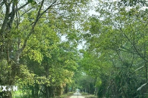 Vườn quốc gia U Minh Thượng mở cửa đón khách tham quan trở lại