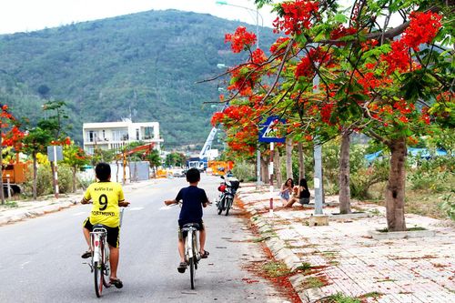 Những ngày mùa hạ