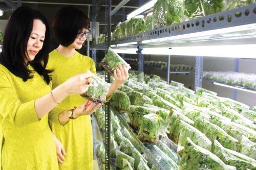 Mở ra không gian nghiên cứu sáng tạo khoa học - công nghệ rộng lớn
