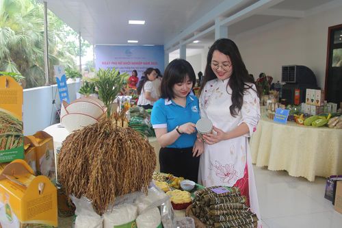 Đề án 939 giúp phụ nữ sáng tạo và khởi nghiệp hiệu quả