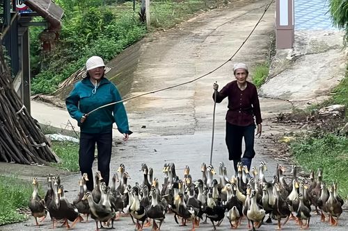 Đồng hành cùng phụ nữ vươn lên phát triển kinh tế