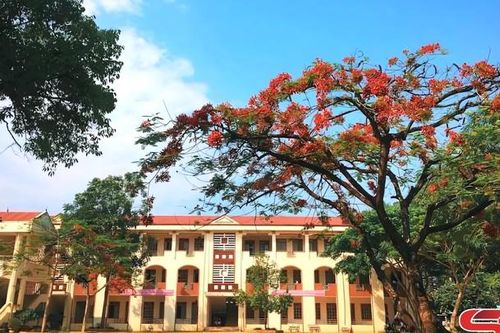 Về lại trường xưa