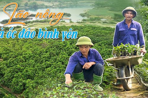 Lão nông và ốc đảo bình yên