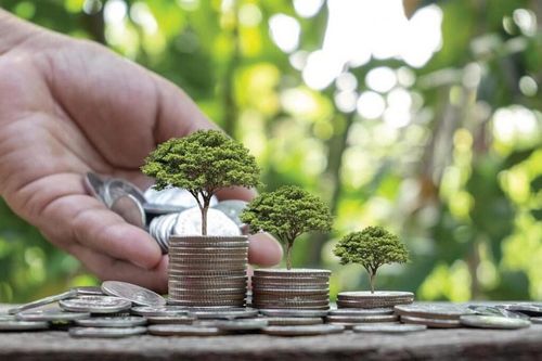 Tín dụng xanh: Lối đi cho doanh nghiệp thích ứng khí hậu