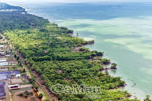 Gần 231 tỷ đồng đầu tư dự án bảo vệ bờ biển, khôi phục rừng ven biển