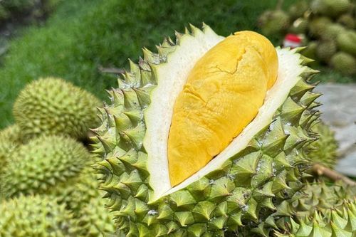 Thủ tướng: Ưu tiên thông quan nhanh nhất sầu riêng tại cửa khẩu
