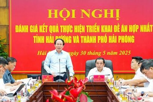 Khẩn trương hoàn thành đề án hợp nhất các cơ quan chuyên môn, đơn vị sự nghiệp công lập