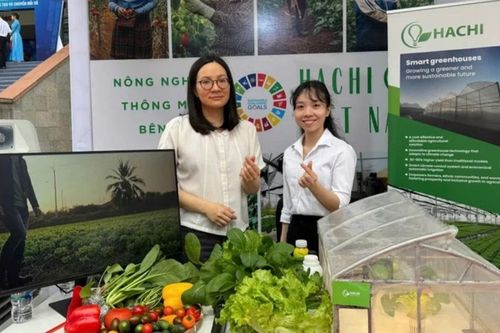 Doanh nghiệp Việt chuyển đổi xanh: Bắt nhịp bằng công nghệ, bứt phá nhờ sáng tạo