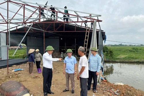 Vĩnh Phúc: Huyện Vĩnh Tường xử lý các trường hợp vi phạm đất đai mới phát sinh