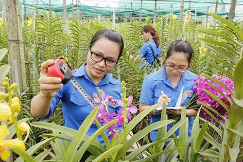 Phấn đấu hỗ trợ ít nhất 35.000 doanh nghiệp do thanh niên làm chủ