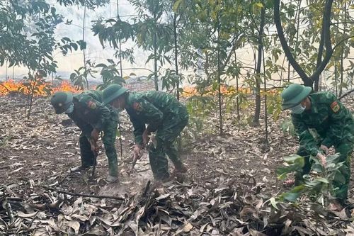 Huy động bộ đội chữa cháy rừng giữa trời nắng nóng