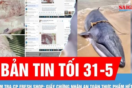 Bản tin tối 31-5: Cập nhật nóng vụ cửa hàng bị tố 'tuồn' thịt bẩn | Cá voi trôi dạt vào bờ biển