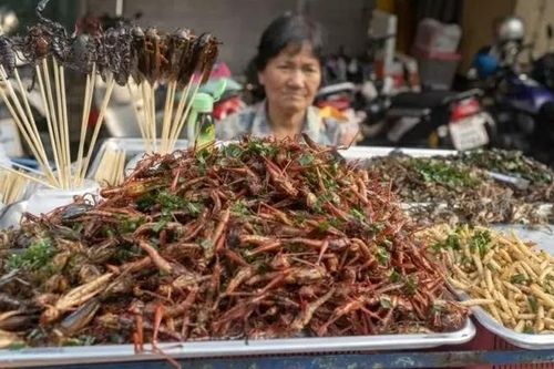 Côn trùng: Từ món ăn chợ quê đến bàn tiệc Michelin ở Thái Lan