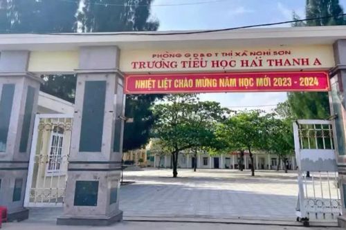 Xem xét kiểm điểm giáo viên nhờ gỡ bài phản ánh thu chi của trường trên mạng xã hội
