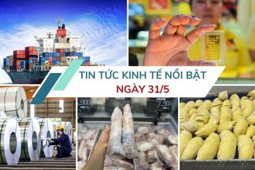 Tin tức kinh tế ngày 31/5: Giá cước vận tải biển tăng phi mã