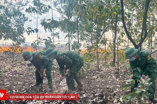 Kịp thời dập tắt vụ cháy rừng tại thị xã Phong Điền, TP Huế