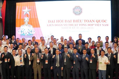 Ông Ngô Đức Quỳnh tái cử Chủ tịch LĐ Võ thuật tổng hợp Việt Nam